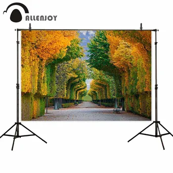 

Allenjoy backdrop for photographic studio Empty long road in autumn park Withered plant background professional season photocall