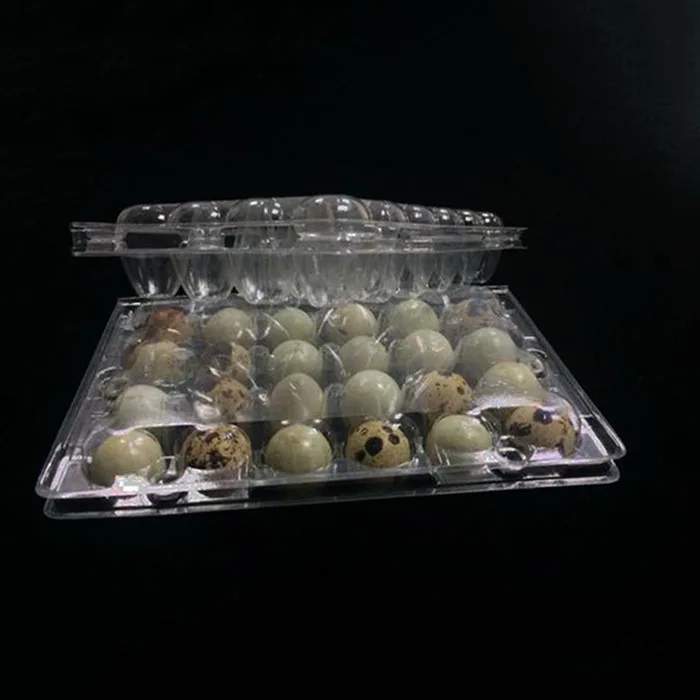 500 шт./лот 24 Отверстия перепелиные яйца контейнер Коробки Пластик упаковки Коробки Кухня аксессуары