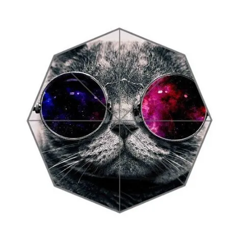 Модный дизайн зонтик на заказ милый кот с космическим стеклом Зонтик для мужчин и женщин Горячая UMN-460