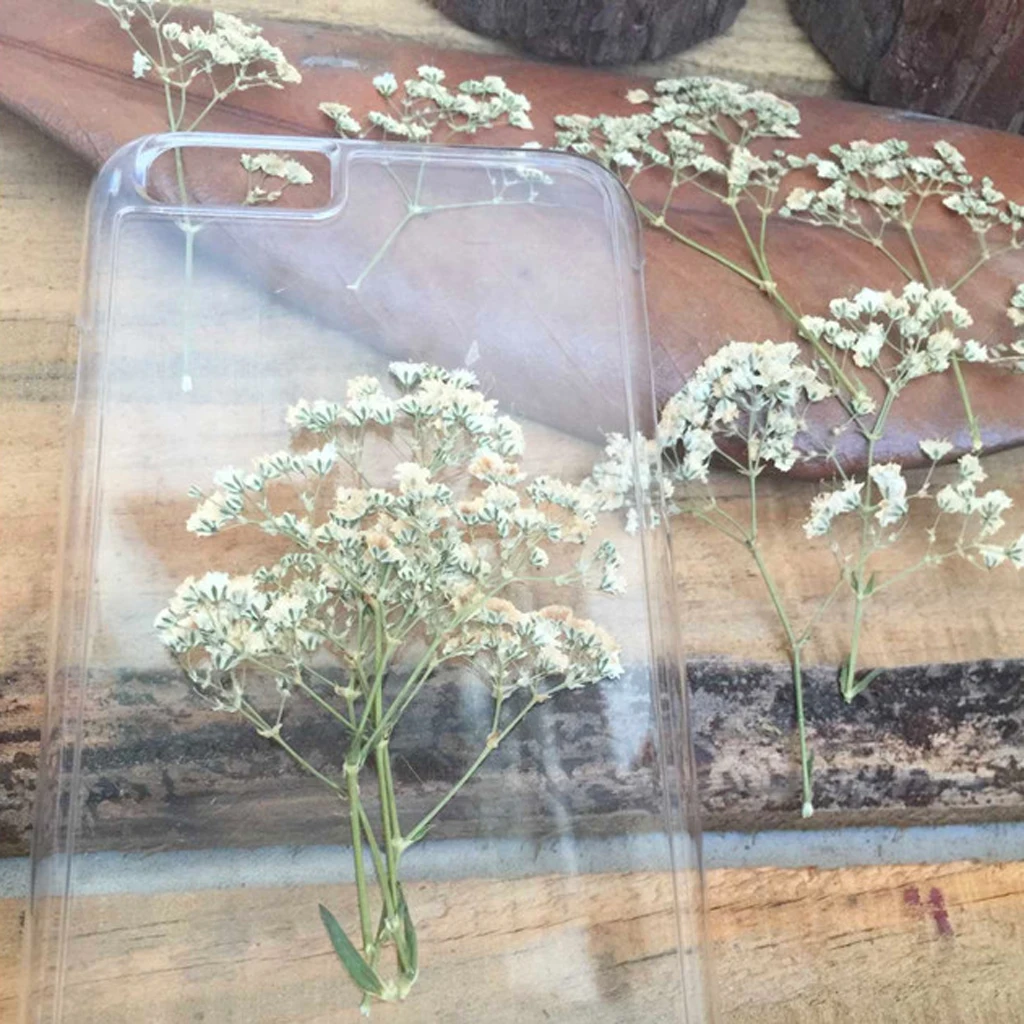 12PCS Natural Pressed Flower for Card Making & Floral Arranging DIY Decor Gypsophila