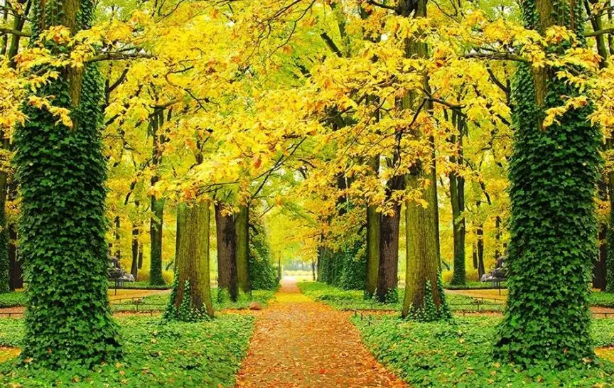 3D Wallpaper Custom 3d Mural Wallpaper 3D space gold avenue TV Backdrop Bedroom Photo Wall Paper 3D 3D Wallpaper Custom 3d Mural Wallpaper 3D space gold avenue TV Backdrop Bedroom Photo Wall Paper 3D