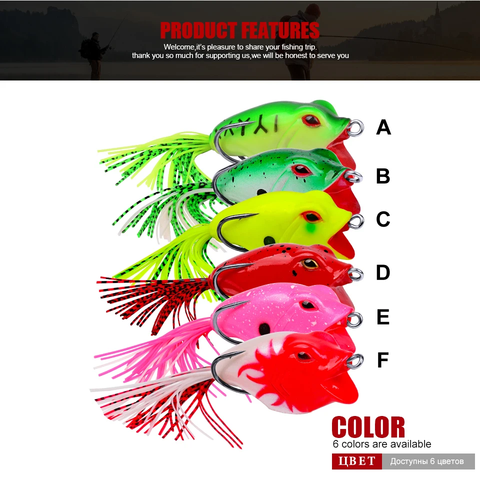 FR019_06