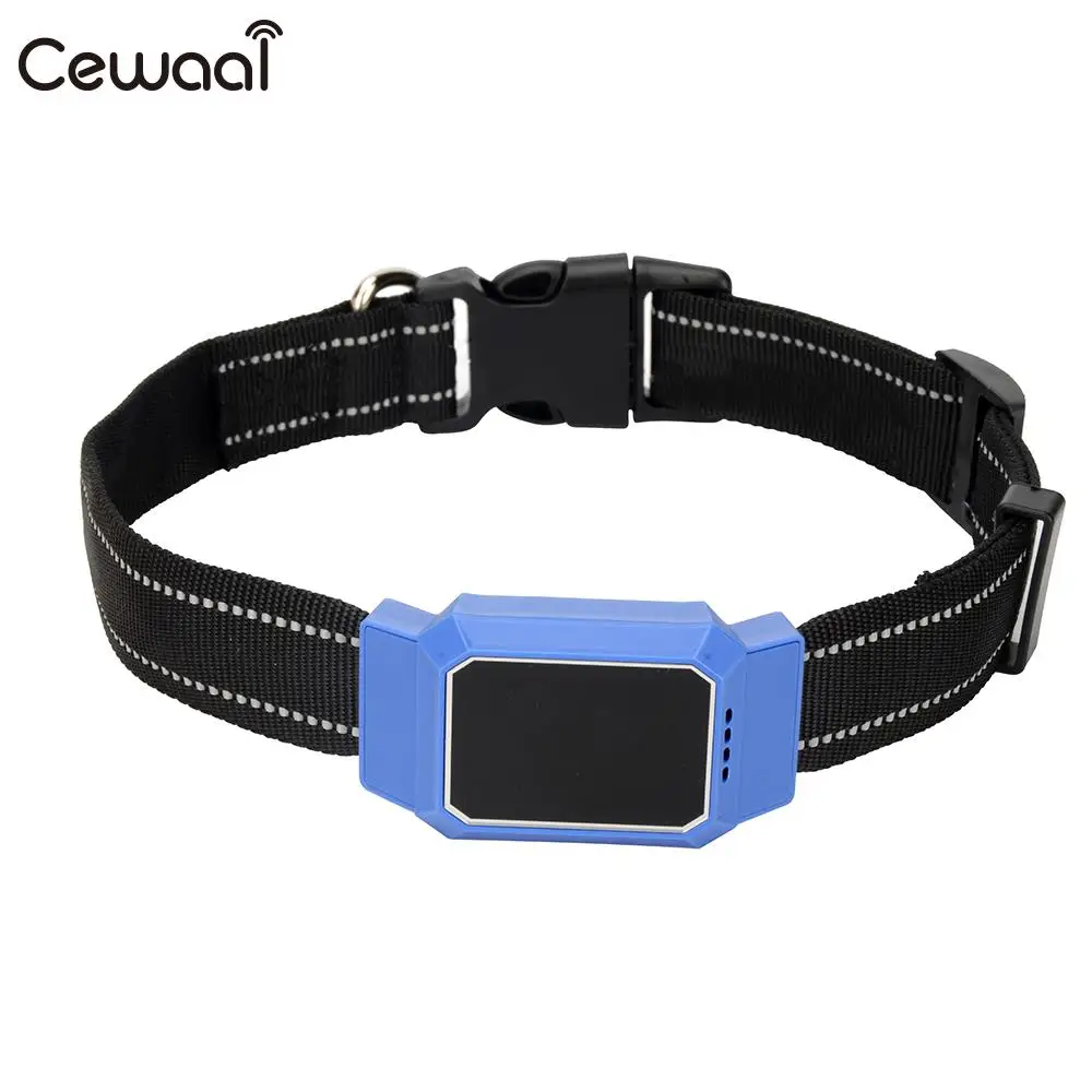 GPS Pet Locator Dialogue Novelty Puppy GPS Pet Collar Display