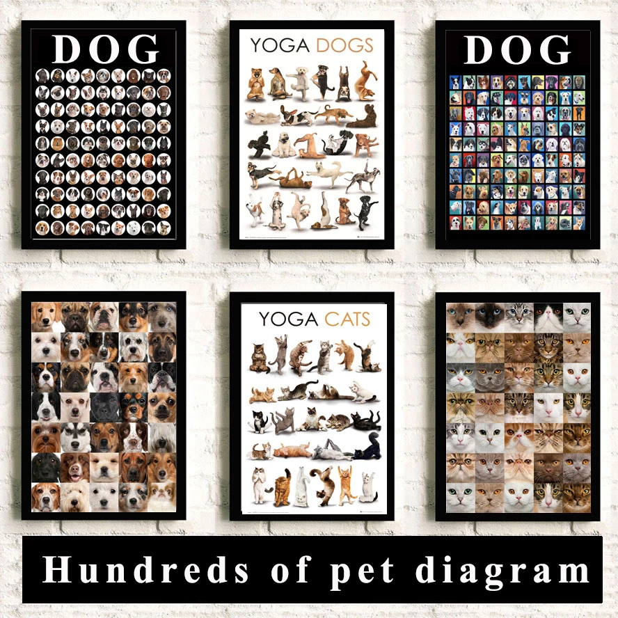 Fun cute font b pet b font cats and dogs meow hundreds font b pet b