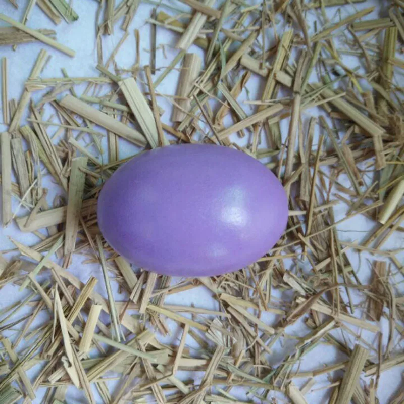 4,5x6 см, 1 шт., деревянные Имитационные яйца, утка, для детей, сделай сам, ручная роспись, граффити, пасхальные яйца для украшения дома, забавные игрушки, подарки - Цвет: Purple