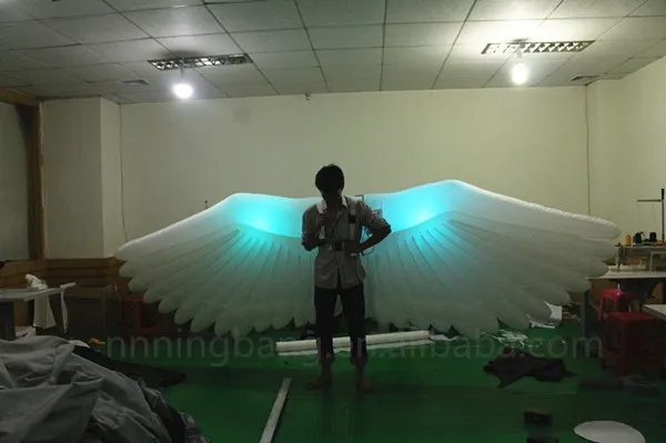inflatable wing (1)