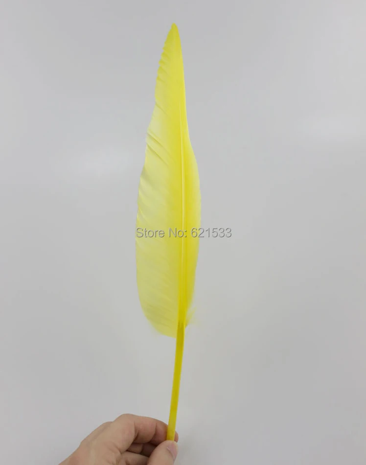 FU010 (2)