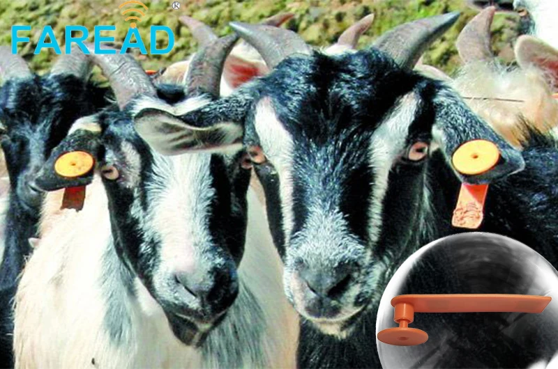 Лучшее качество x10pcs RFID животное овечья Ушная Бирка UHF 860 мГц 960 пассивная бирка для идентификации скота ISO18000-6C стандарт