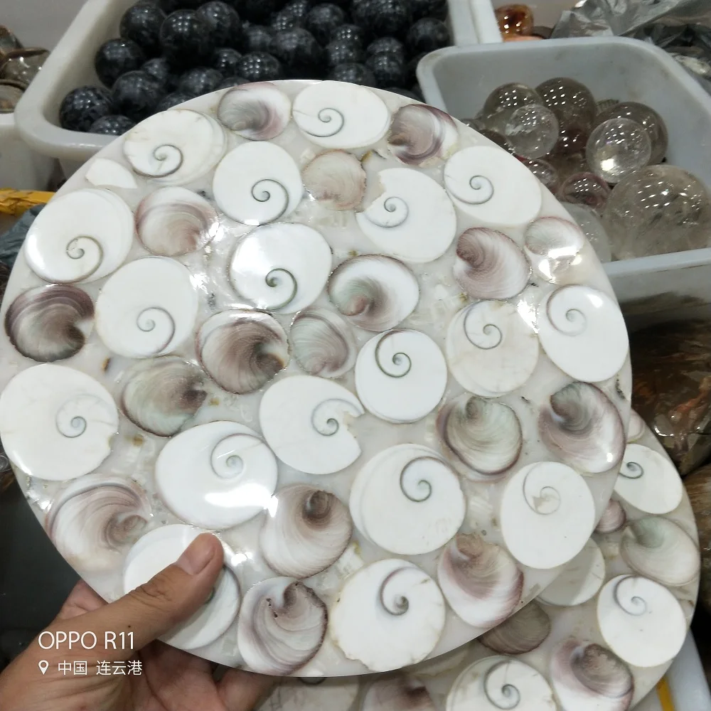 Ammonite Fossil Slice Plate Natura Shell a compassl MADAGASCAR FOSSIL SPECIMEN HEALING fashion wedding decoration