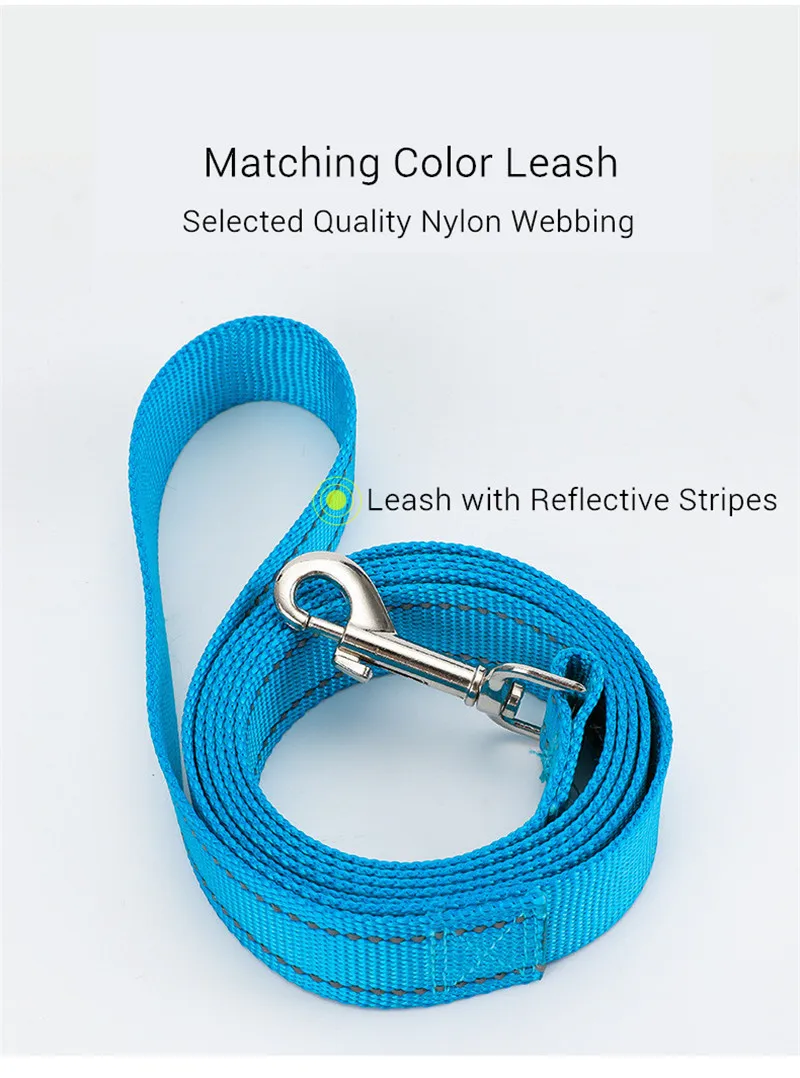 Dog Harness (10)