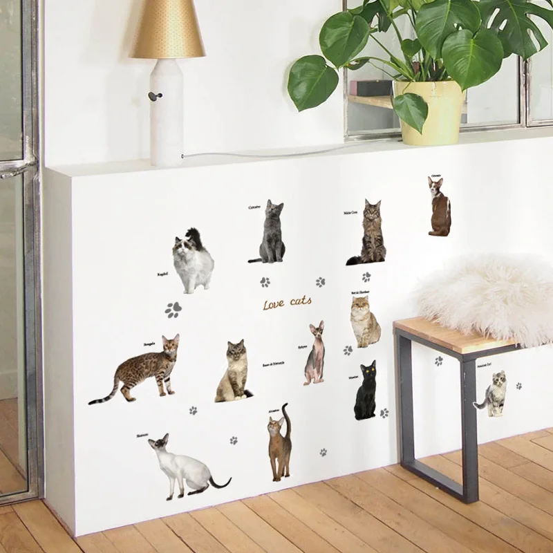 Modern Various Cats Wall Stickers Home Decor Cute Cats and Cat Name