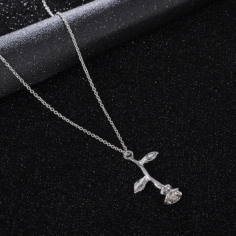 S040004 (4)