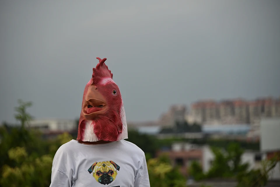 DSC_0895