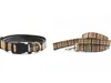 Small And Medium Adjustable Dog Collar Leash