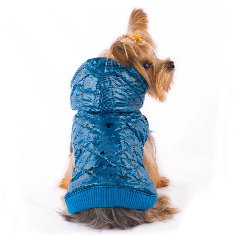 01 dog clothes 
