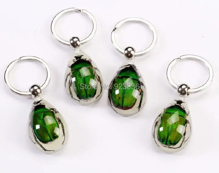 

Free Shipping High Quality 12PCS NEW REAL GREEN BEETLE GLOW IN DARK KEYCHAIN TAXIDERMY GL01