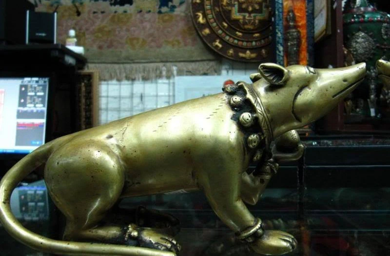 

Tibet 100% Pure Copper Bronze Feng shuilovely Two mouse eat pinecone Mouse Pair