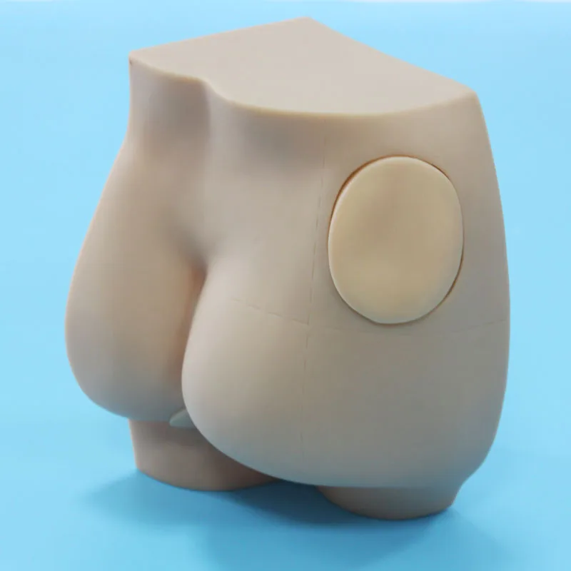 Accessories practice model buttock training apparatus injection model teaching training specific model