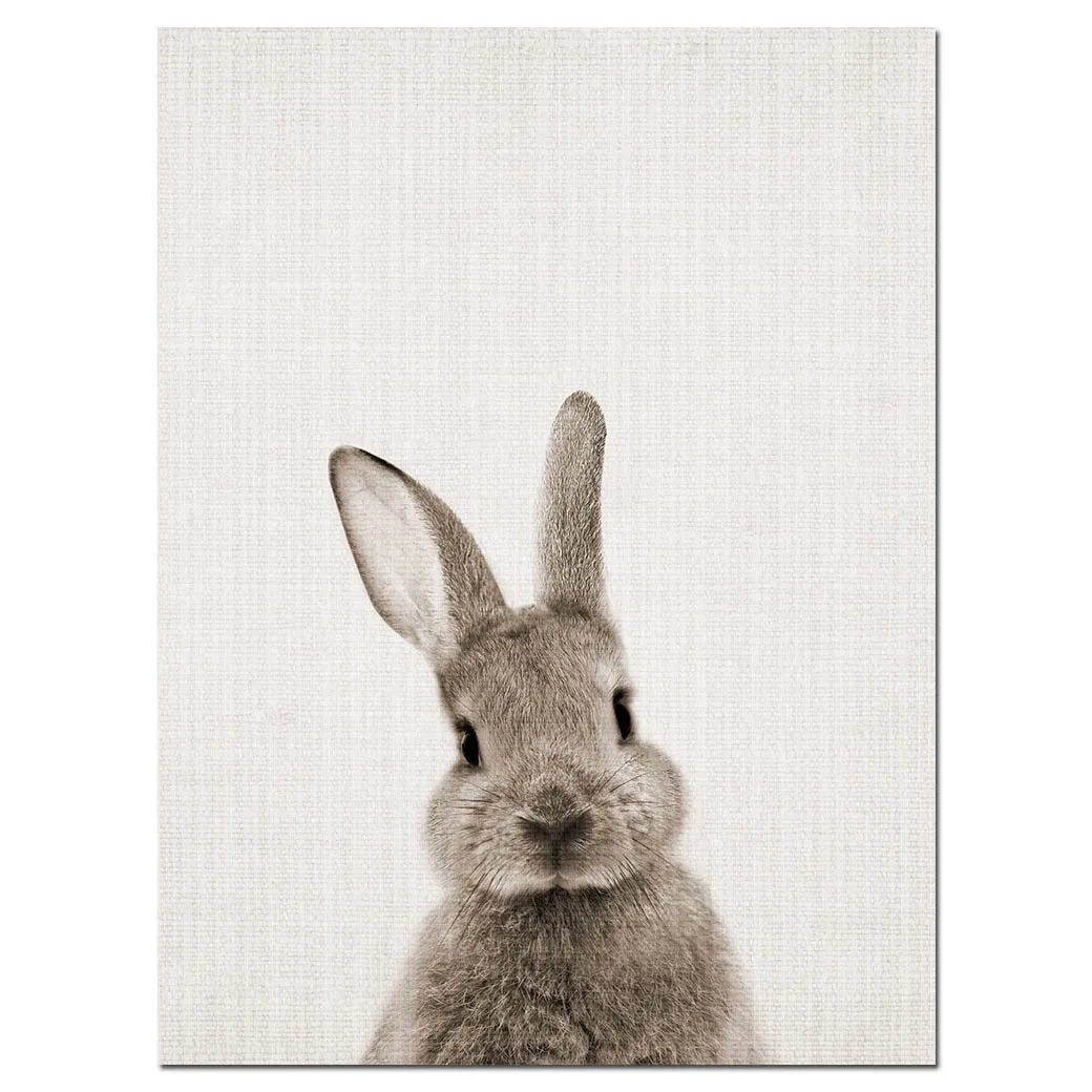 NDITB кроличий кролик попа хвост холст художественный плакат Лесной детский животный принт для детской живописи Настенная картина для декора гостиной - Цвет: Picture 1
