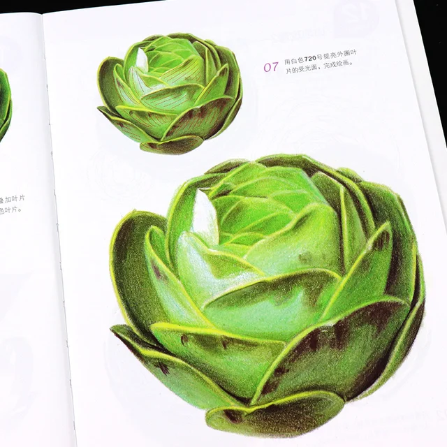 photo Simple Color Pencil Drawing https www aliexpress com i 32892725400 html