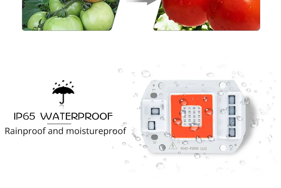 grow led cob chip (10)
