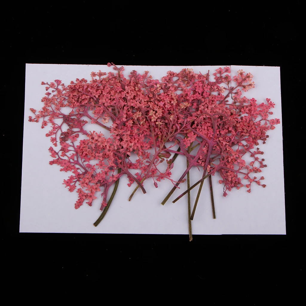 12 Pieces Natural Pressed Real Dried Flower for Soap Candle Making Decor Resin Casting DIY Ornament Craft