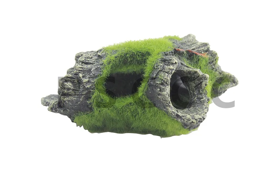 0.1kg