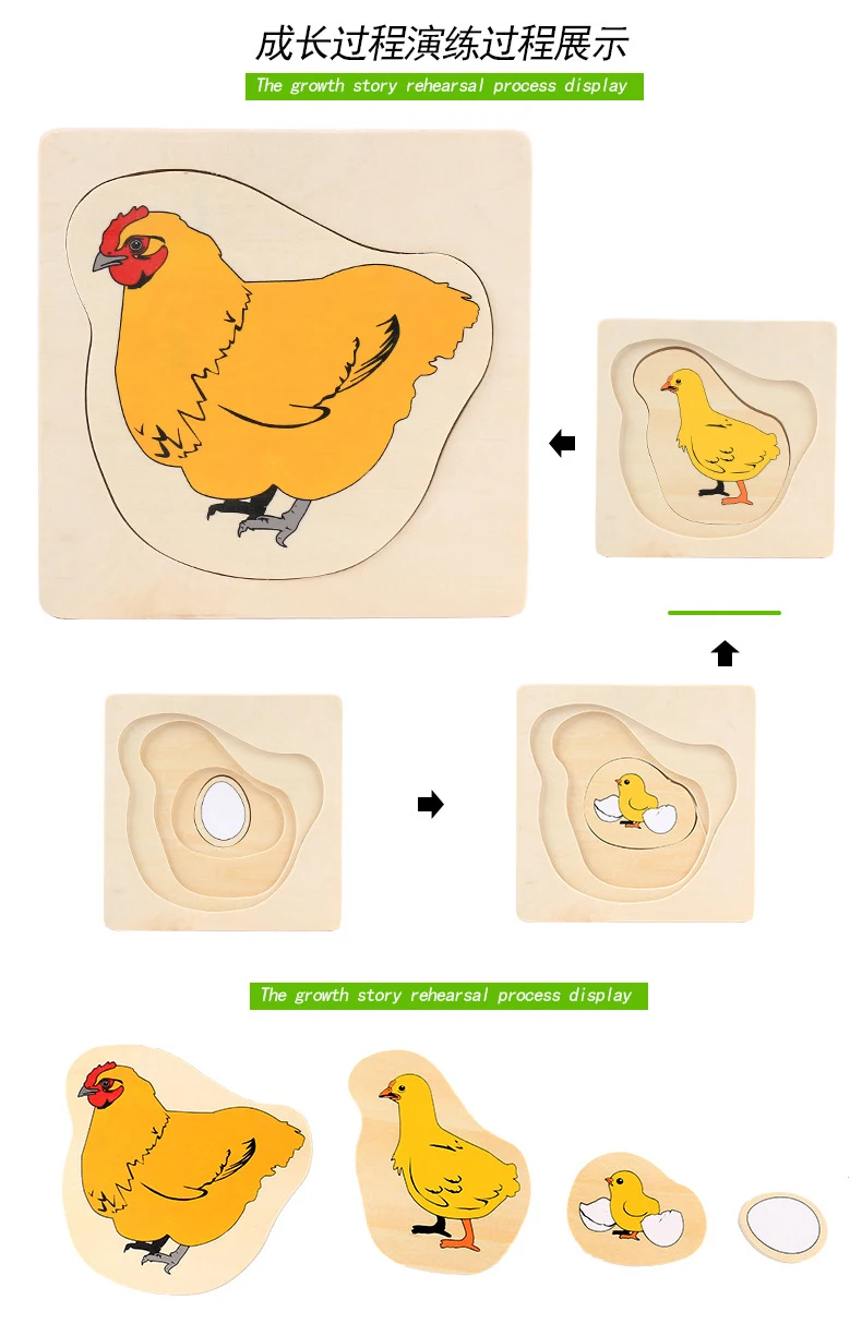 Многослойный процесс роста головоломка животное/растение деревянные пазлы Дети Монтессори развивающие обучающие игрушки для детей