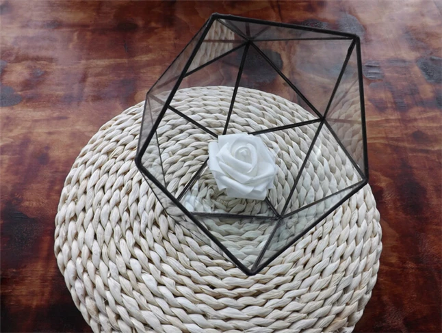 Tabletop Greenhouse4.jpg