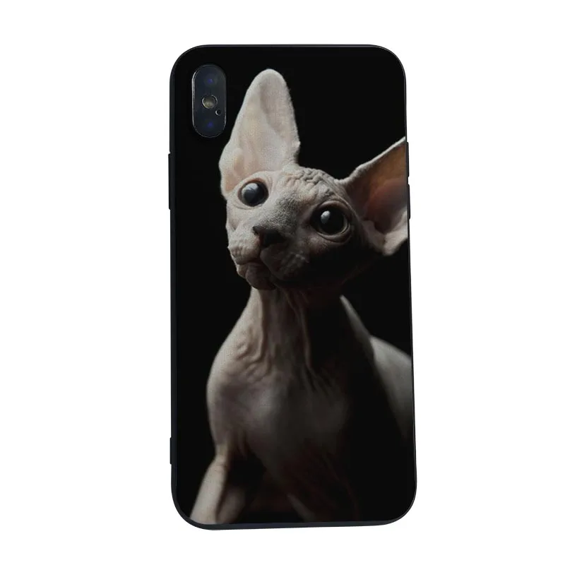 Чехол для телефона MaiYaCa Black sphynx cat чехол iPhone 8 7 6 6S Plus X XS MAX 5C 5 5S SE XR 10|Чехлы-накладки| |