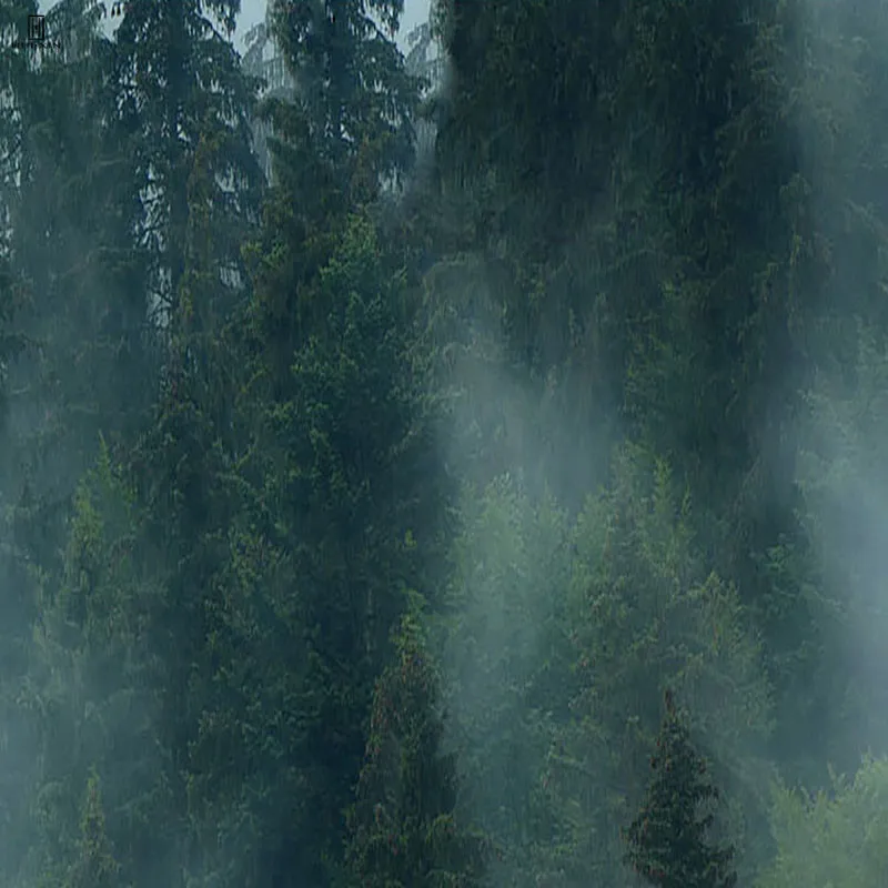 There Are A Lot Of Endless Lush Wood Trees Plants Surrounded By The White Fog Nordic Simple Paintings On Canvas For Home Decor