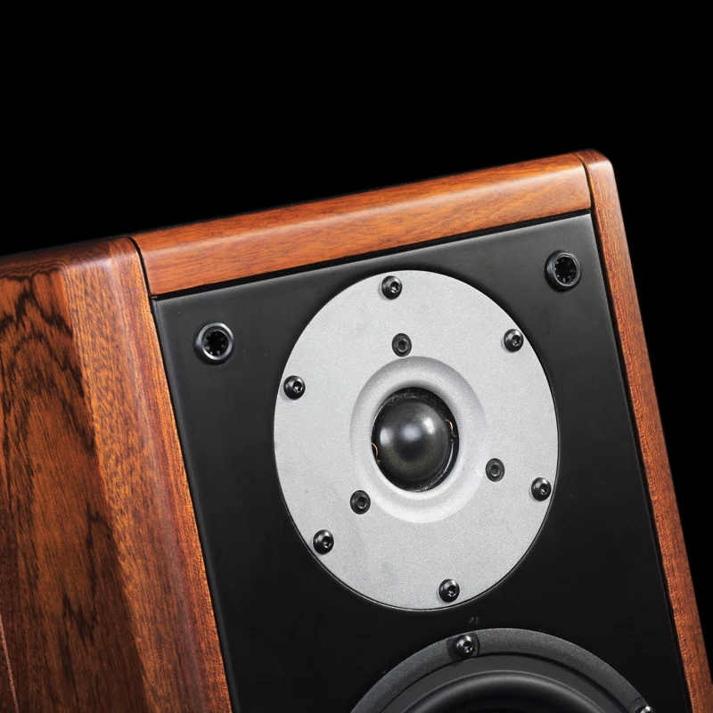 PAIYON P9 HIFI колонки для полки audiophile MOREL TICW 638+ ST1108 блок