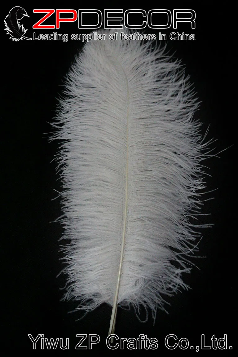 50-55CM (17)