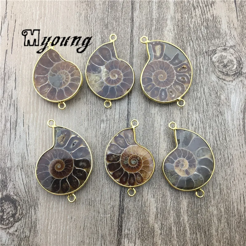 

Genuine Ammonite Fossils Pendant Charms, Conch Fossils Connector, Double Bails Necklace Making Beads MY1766