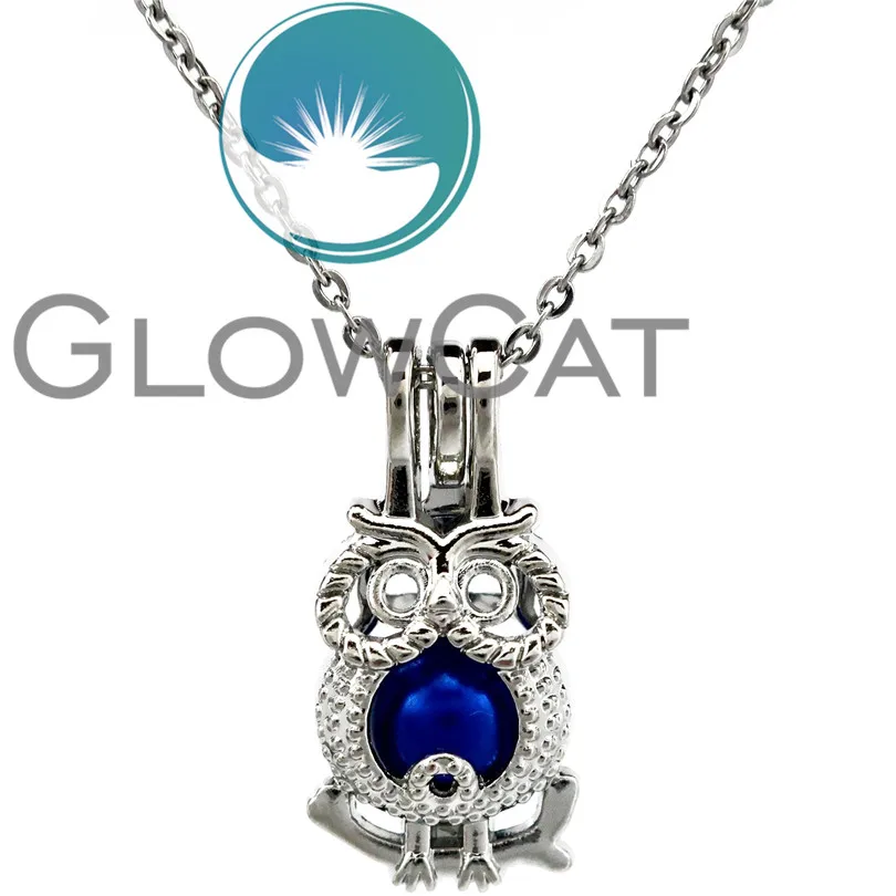 GLOWCAT KK722 серебряные бусины в форме Совы каменная клетка медальон кулон Духи
