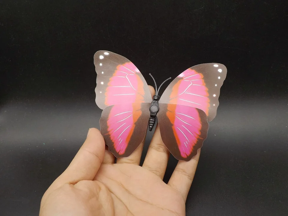 I235-Butterfly (4)