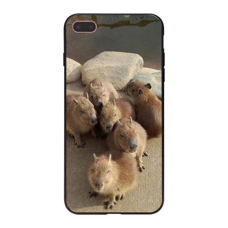 MaiYaCa Animal Funny Capybara Специальное предложение Роскошный чехол для телефона iPhone 8 7 6 6S Plus X XS XR XSMax 5 5S SE Coque Shell