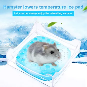 

Hamster Cooling Pad Transparent Cooler Summer Mini Heat Dissipation Box Bed for Small Pets HG99