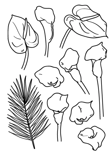 

Calla lily/Transparent Clear Stamps for DIY Scrapbooking/Card Making/Kids Christmas Fun Decoration Supplies