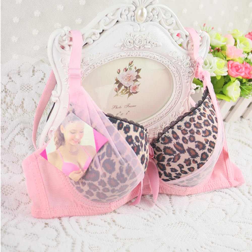 Sexy Elegant Bra Panty Set Women Bras Underwear Lady push up Bra Lingeries Cup B Sexy Elegant Bra Panty Set Women Bras Underwear Lady push up Bra Lingeries Cup B