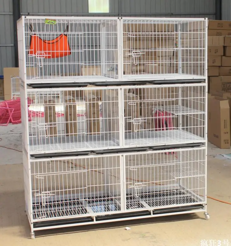 Queen breeding cage cages cat Cheap dedicated three whitein Cat Crates