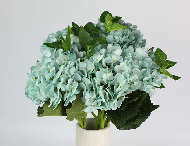 5waterblue
