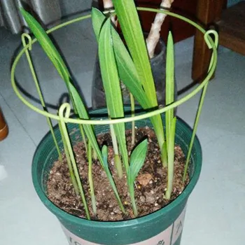 

5 Pcs/Set Plant Support Ring Cage Garden Plants Support Trellises Potted Orchid Fixed Ring BDF99
