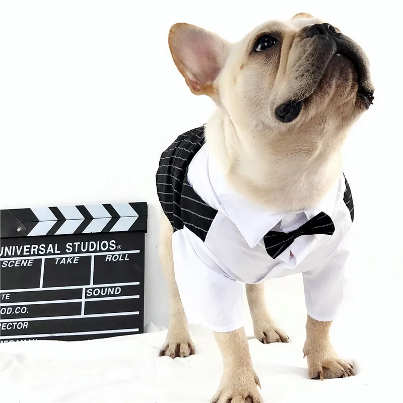 

[MPK Dog Costume] Dog Wedding Suit for Groom with Bow Tie, Formal Dog Dress Shirt, Smart Attire for Dogs