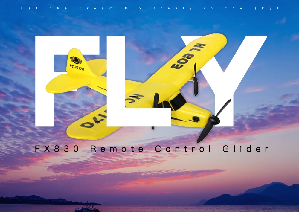 

FX803 2.4G RC drone helicopter two way remote control glider foam glider EPP fixed-wing remote control aircraft