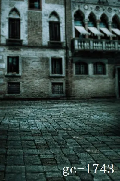 

5x10ft Vinyl Custom Photography Backdrops Props Photo theme Backgrounds GC-1743