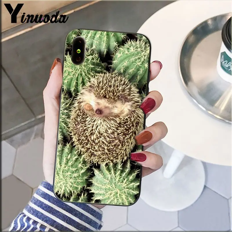 Hedgehog Cute in Teacup Animal Art