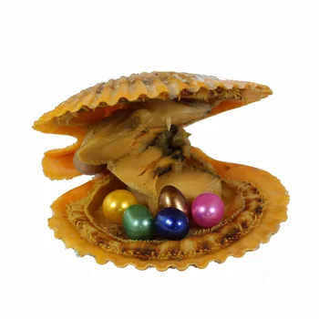 

Mixed Colors Rice Vacuum-packed Love Wish Pearl Oyster 20pcs Scallop Shell Red Oysters 6-7MM Colorful Oval Pearls Beads RO004