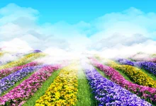 Laeacco Spring Blooming Flowers Blue Sky Scenic Nature Photography Background Customized Photographic Backdrops For Photo Studio wppwdxen photography flowers under the blue sky print art