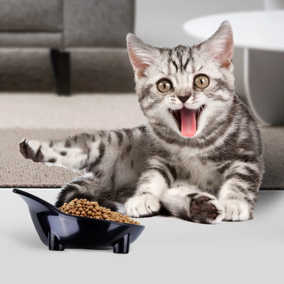 food bowl for cats